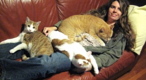 D’après un étude Danoise, les « femmes à chats » auraient plus de chances de se suicider