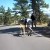 Percuté par un cerf dans une course de skateboard !