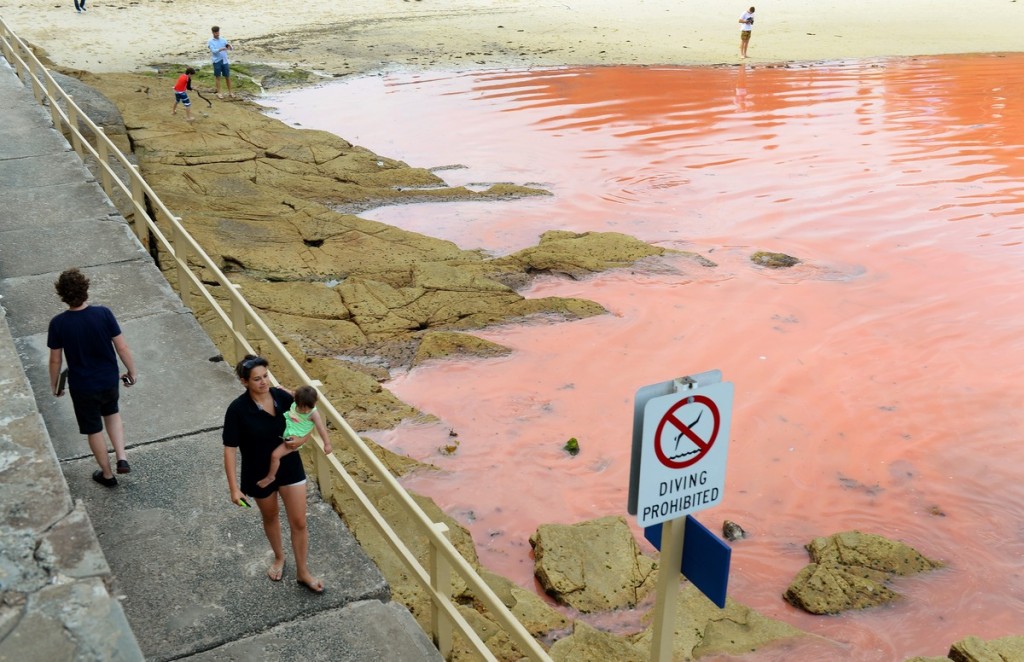  Australie: la couleur de leau vire au rouge sang (photos)