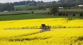 INRA : le lobby qui ne dit pas son nom