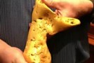 Un chercheur d’or trouve une pépite d’or de 5 kilos en Australie