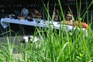 Un été parisien suspendu au jardin du musée du Quai Branly